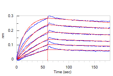 Human_FcRn_Heterodimer_Protein_Bli