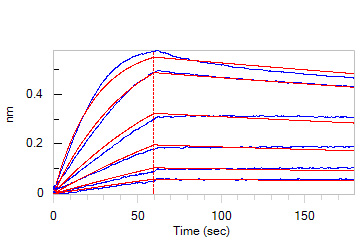  IFN-alpha/beta R2 BLI