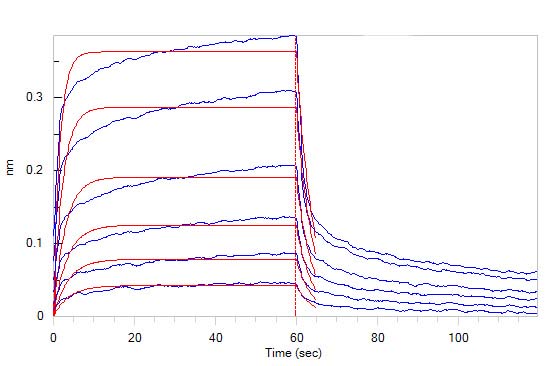  IFN-alpha/beta R2 BLI