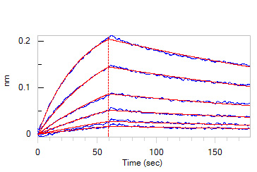  IFN-alpha 1 BLI