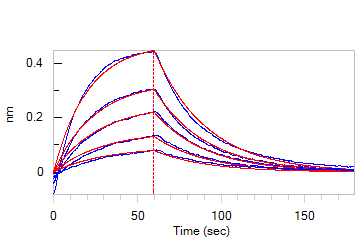  Serum Albumin BLI