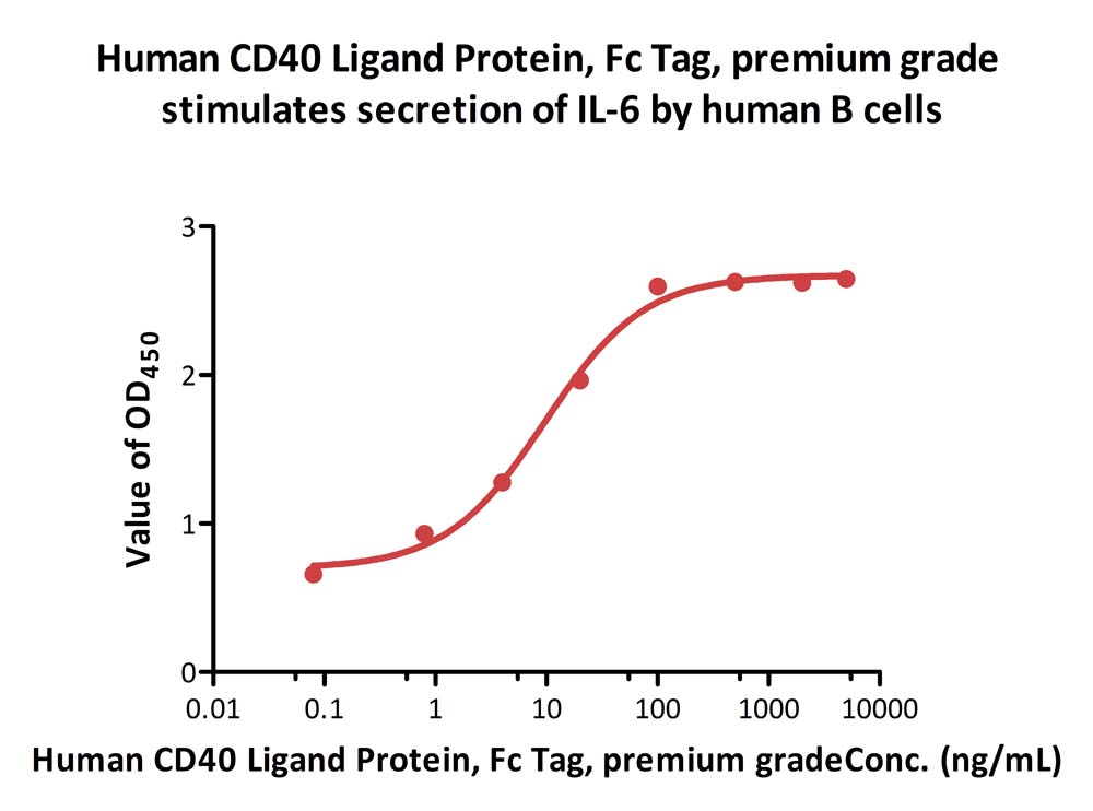  CD40 Ligand CELL