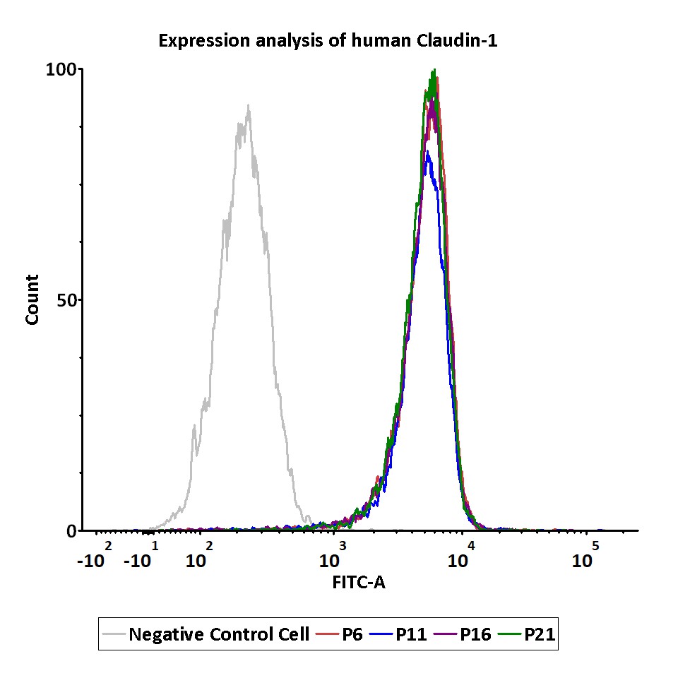  Claudin-1 PASSAGE