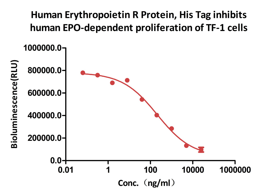  Erythropoietin R CELL