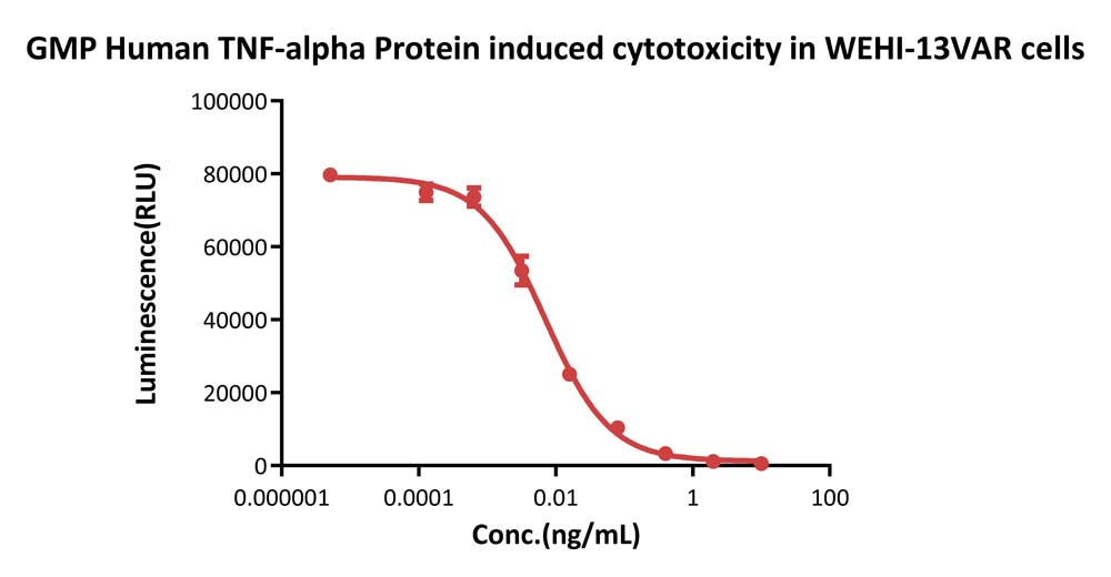  TNF-alpha CELL