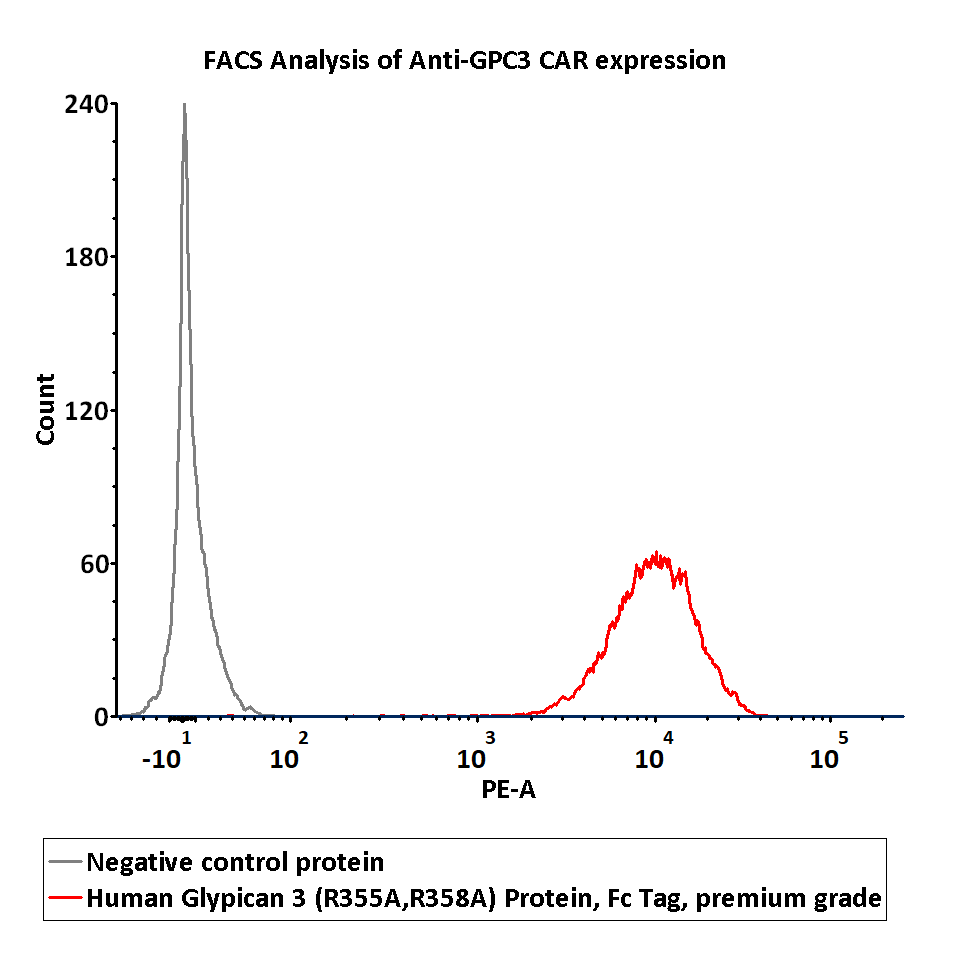  Glypican 3 CELL