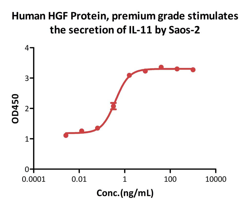  HGF CELL