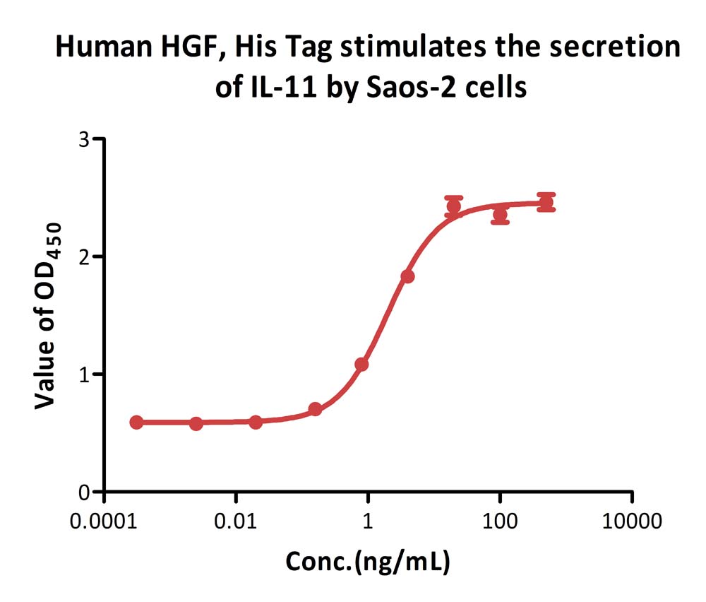  HGF CELL