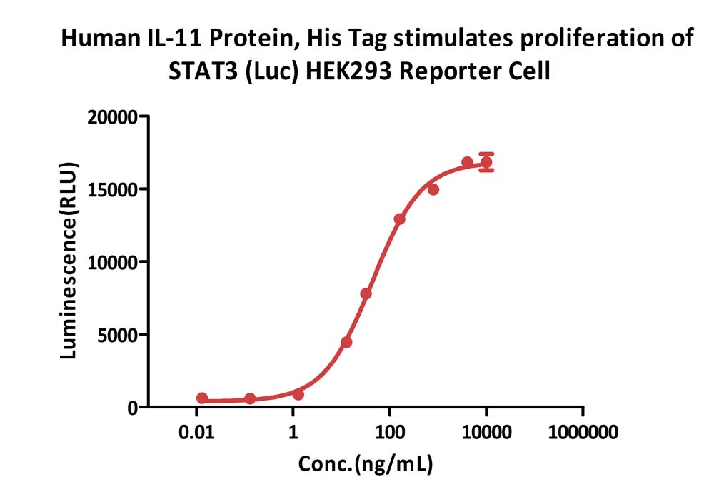  IL-11 CELL