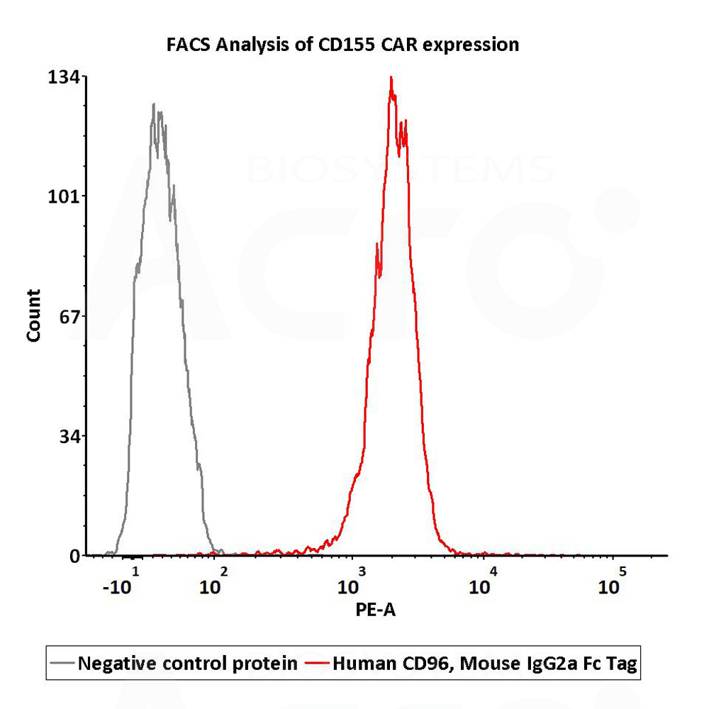  CD96 CELL