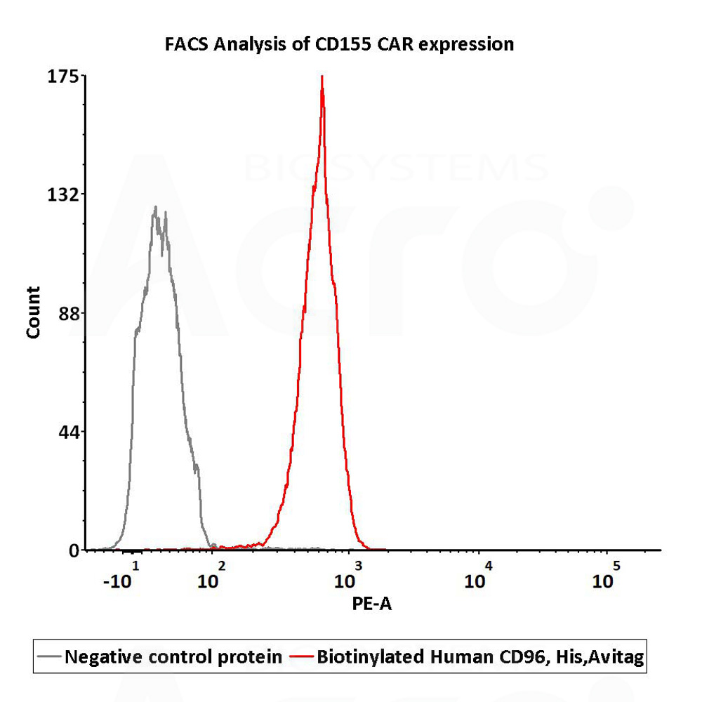 Human FcRn Heterodimer Protein Cell_Base