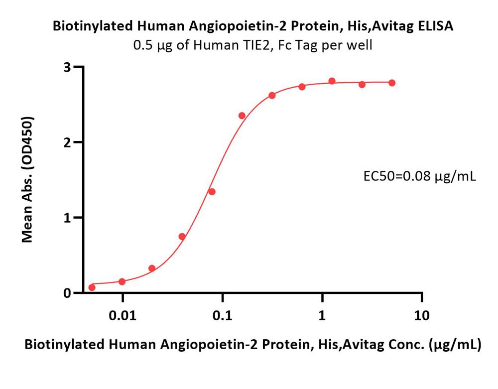  Angiopoietin-2 ELISA