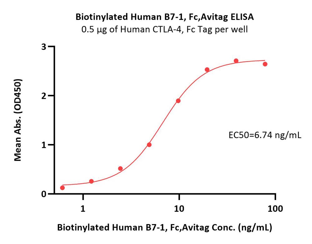  B7-1 ELISA