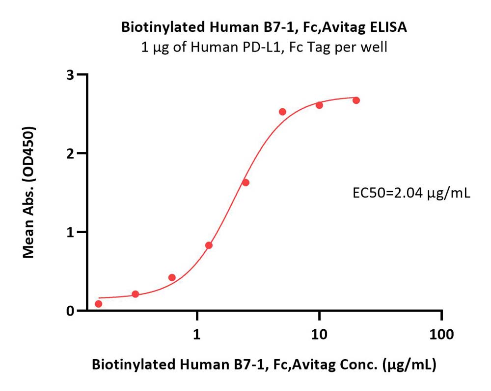  B7-1 ELISA