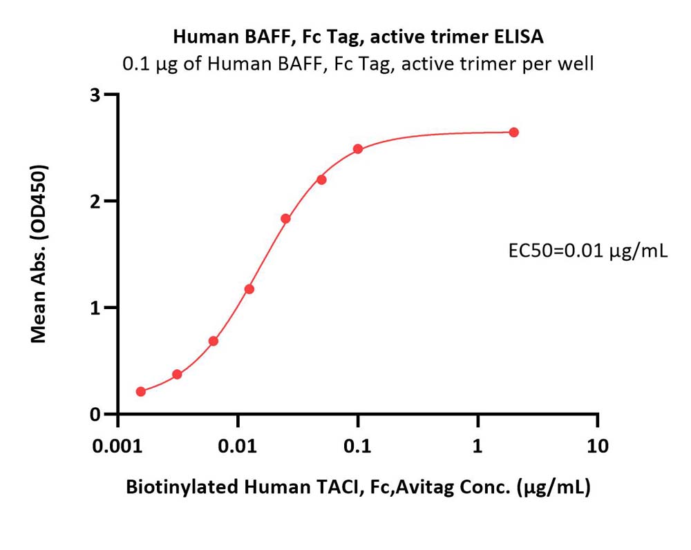  BAFF ELISA