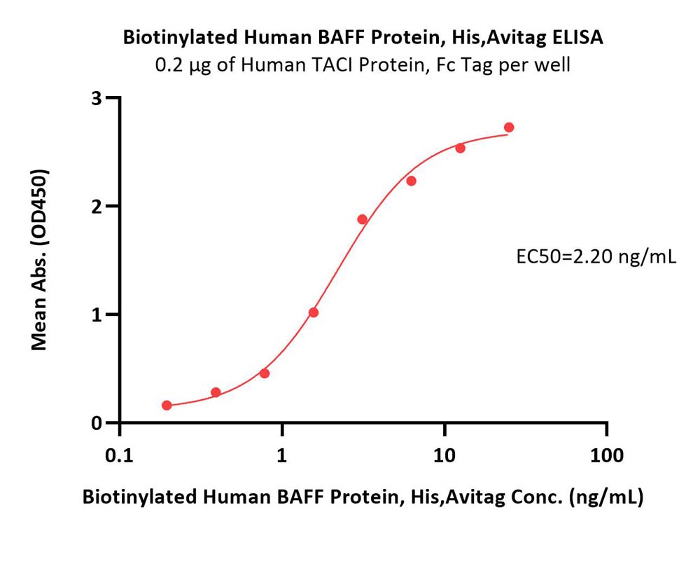  BAFF ELISA