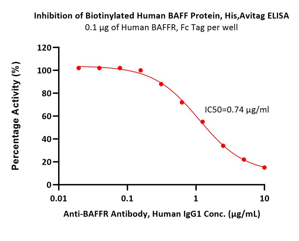  BAFF ELISA