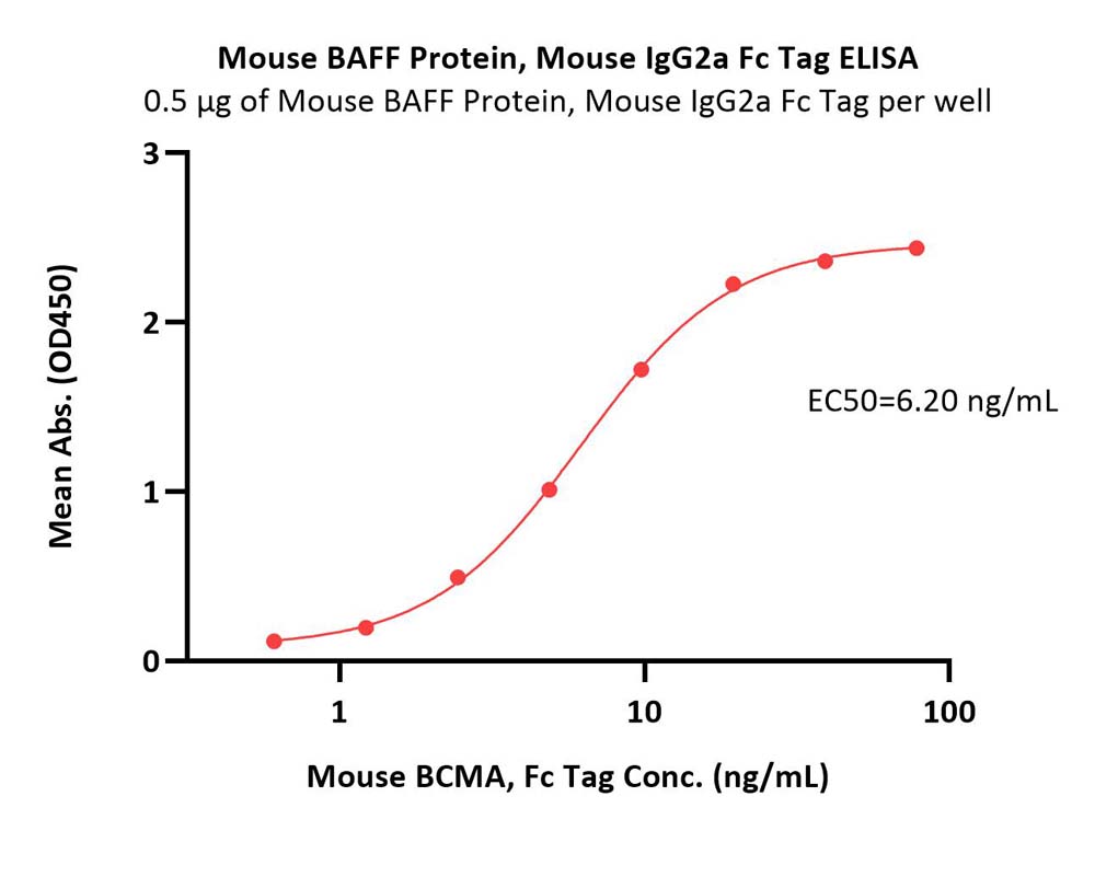  BAFF ELISA