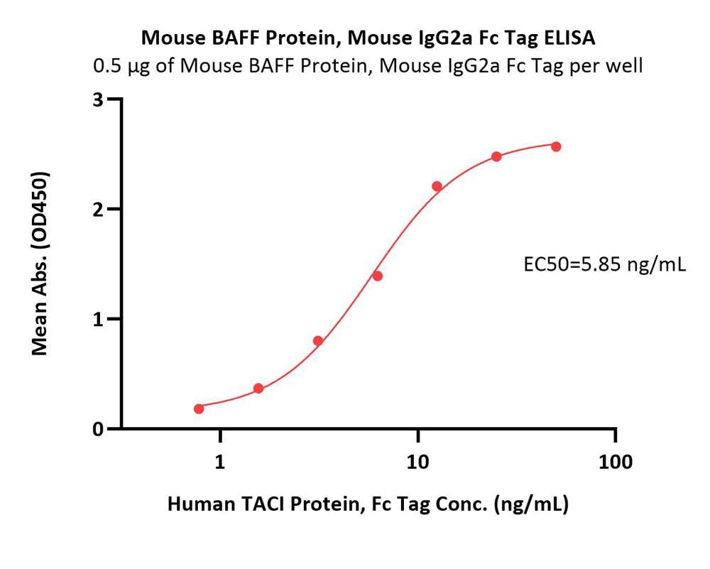  BAFF ELISA
