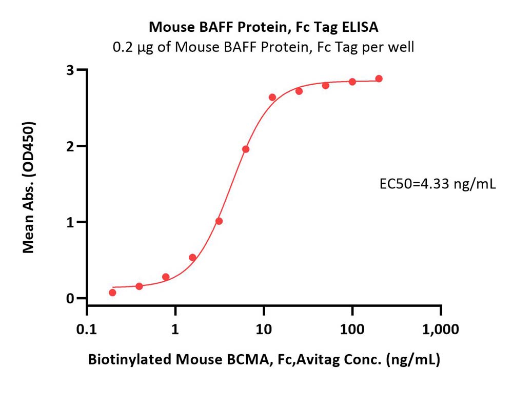  BAFF ELISA
