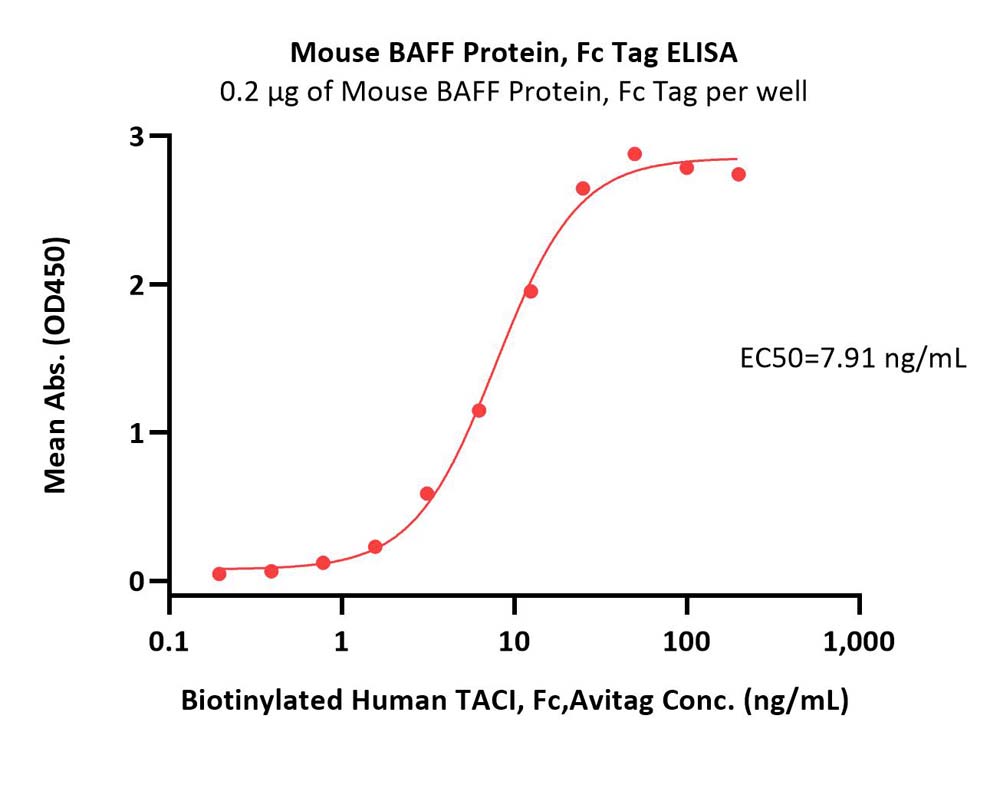  BAFF ELISA