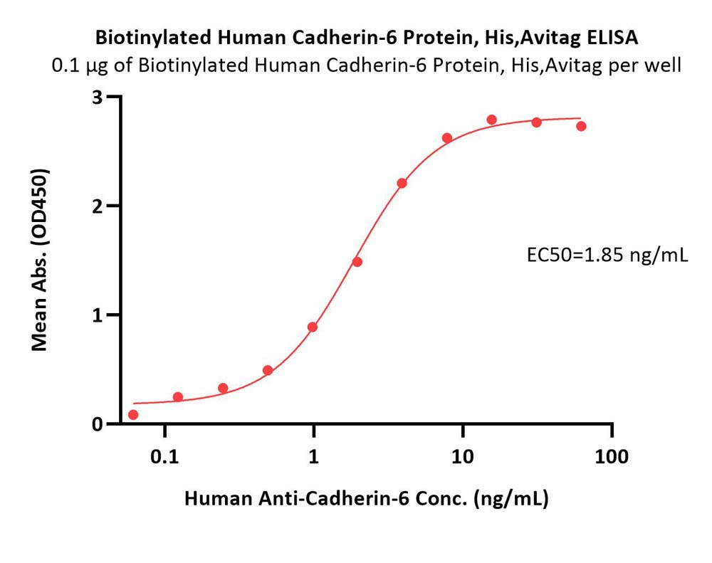  Cadherin-6 ELISA