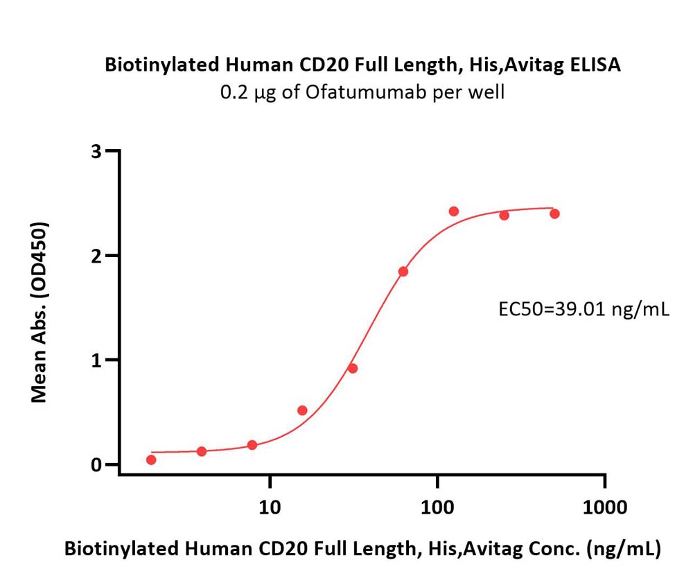  CD20 ELISA