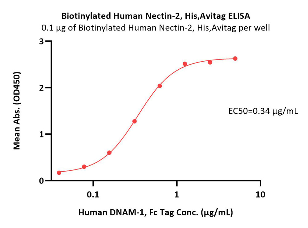  Nectin-2 ELISA