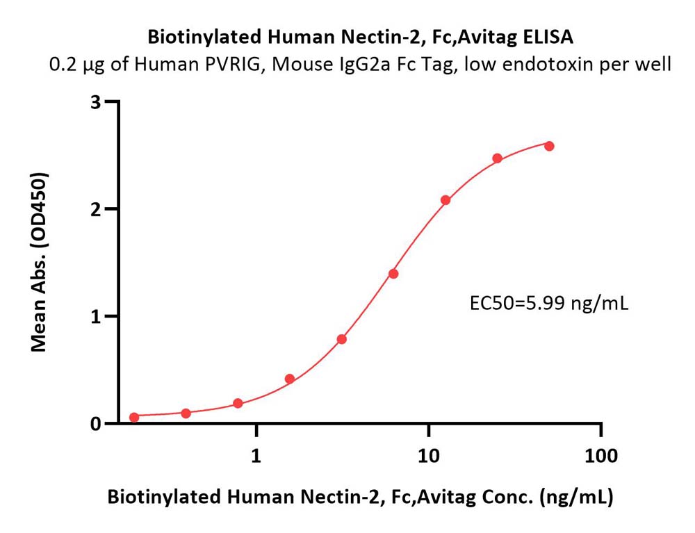  Nectin-2 ELISA