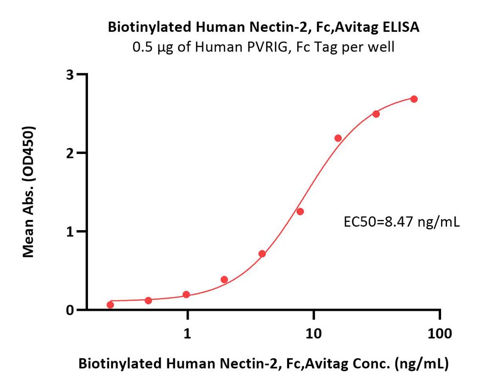  Nectin-2 ELISA