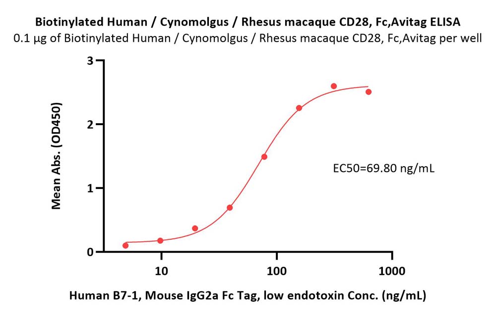  CD28 ELISA