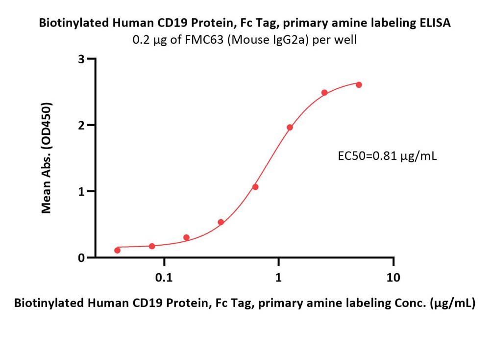  CD19 ELISA