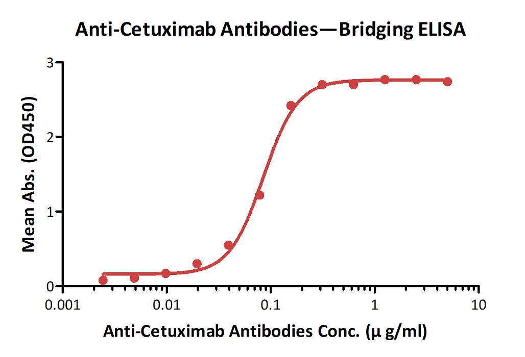  Cetuximab ELISA