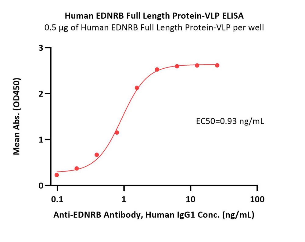  EDNRB ELISA