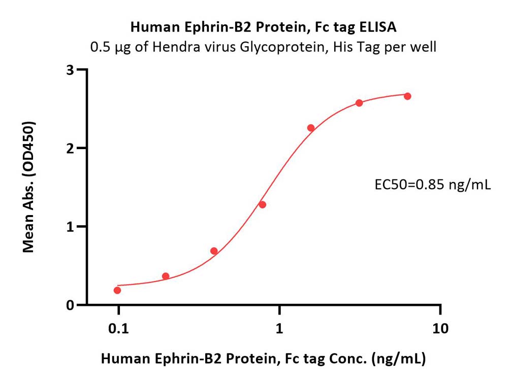  Ephrin-B2 ELISA