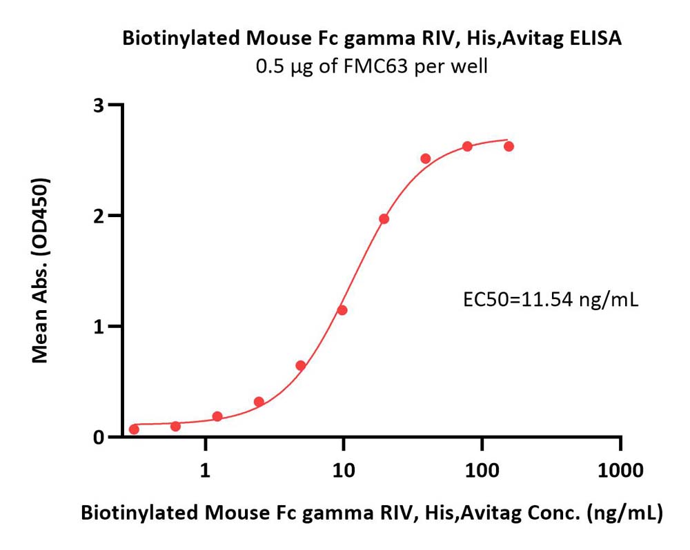  Fc gamma RIV / CD16-2 ELISA