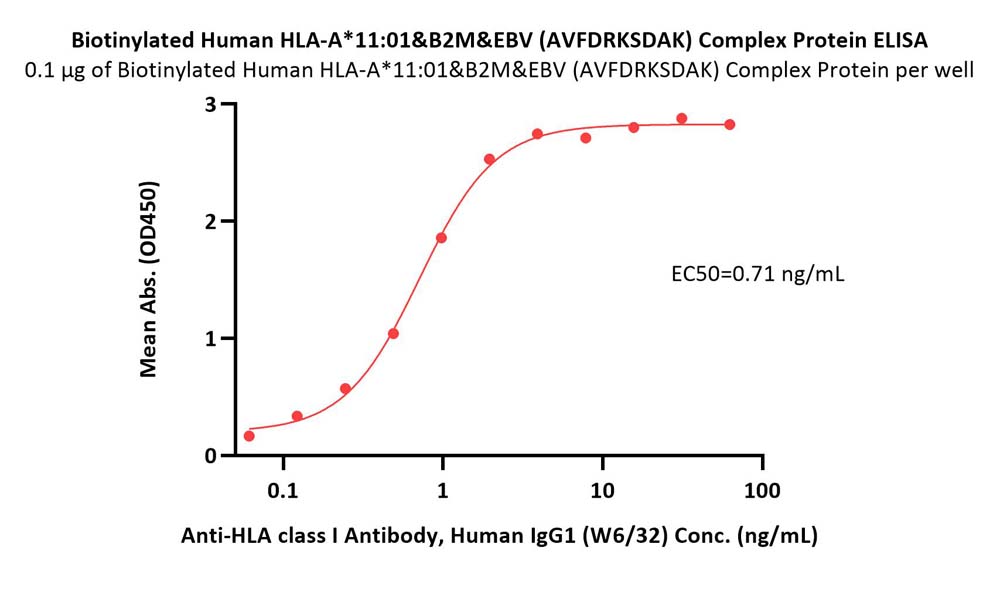  HLA-A*1101 & B2M & EBV (AVFDRKSDAK) ELISA