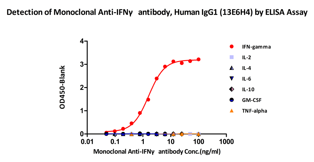  IFN-gamma ELISA