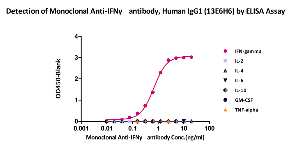  IFN-gamma ELISA