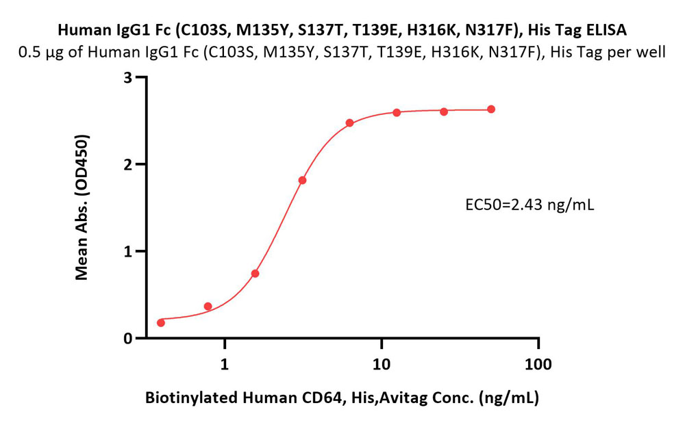  IgG1 Fc ELISA