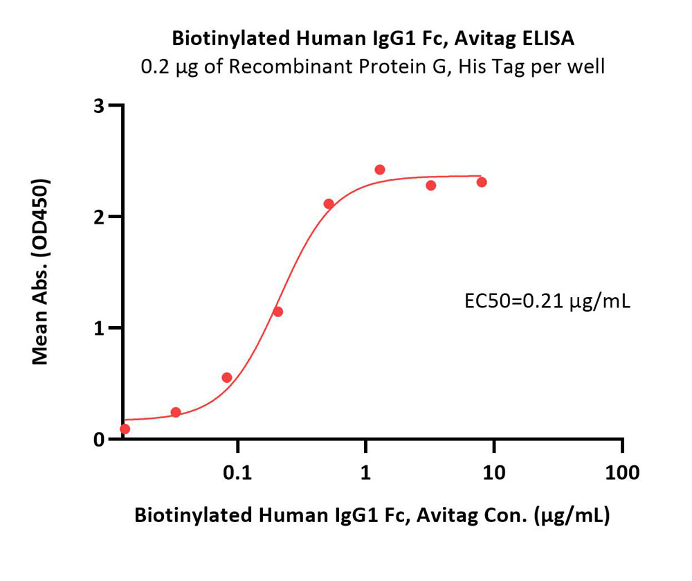  IgG1 Fc ELISA