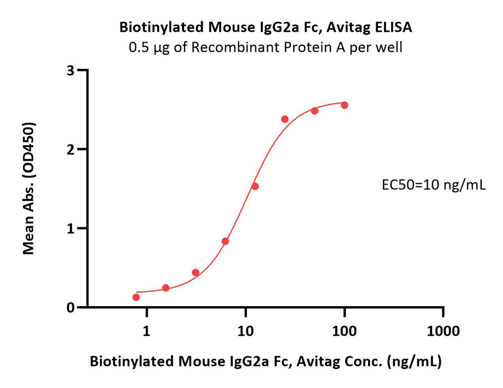  IgG2a Fc ELISA