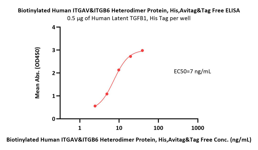  Integrin alpha V beta 6 ELISA