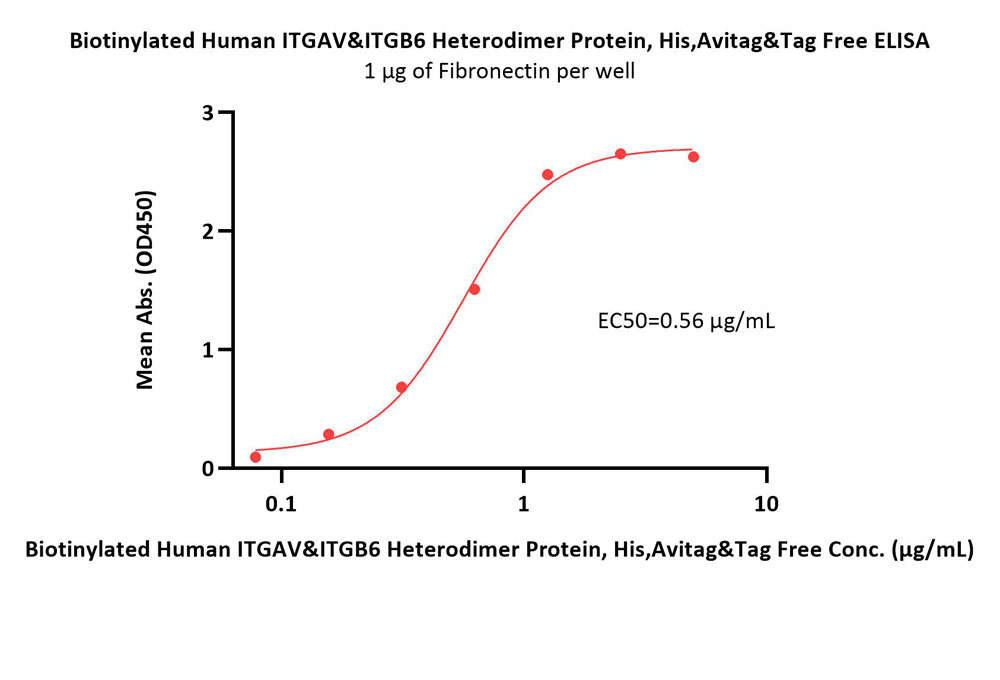  Integrin alpha V beta 6 ELISA