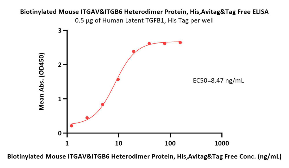  Integrin alpha V beta 6 ELISA