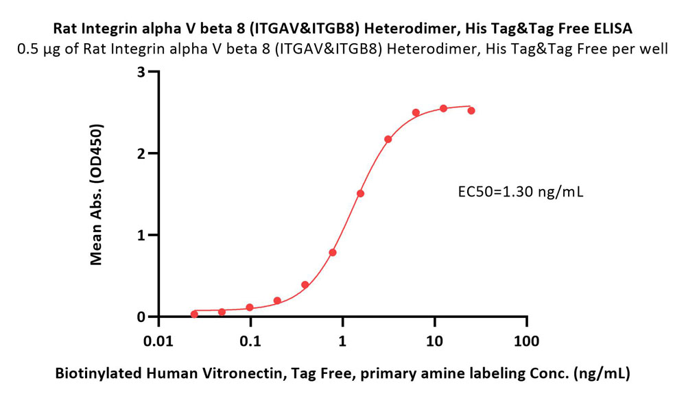  Integrin alpha V beta 8 ELISA