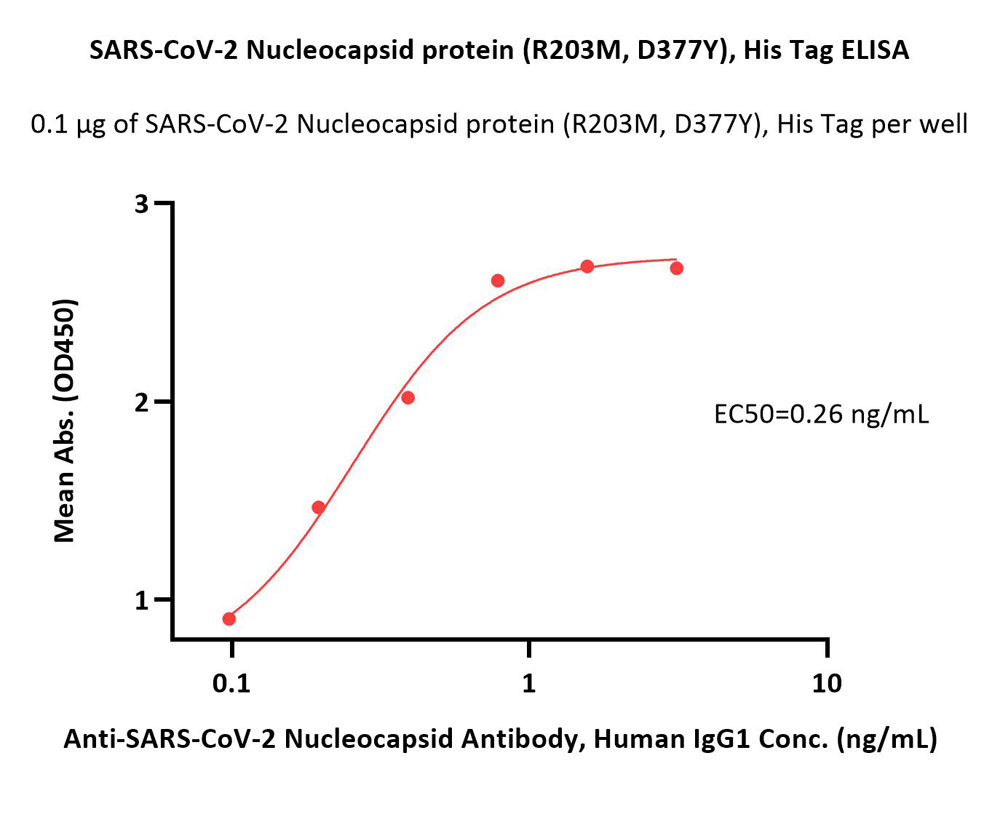  Nucleocapsid protein ELISA