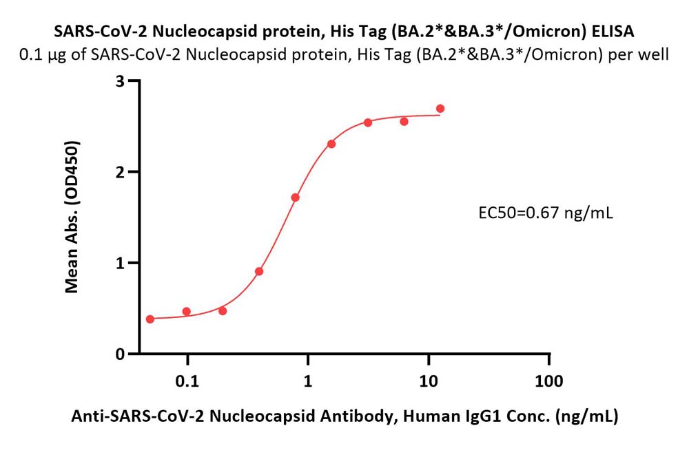  Nucleocapsid protein ELISA