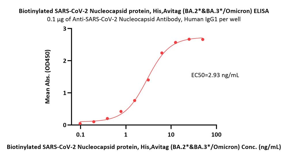  Nucleocapsid protein ELISA