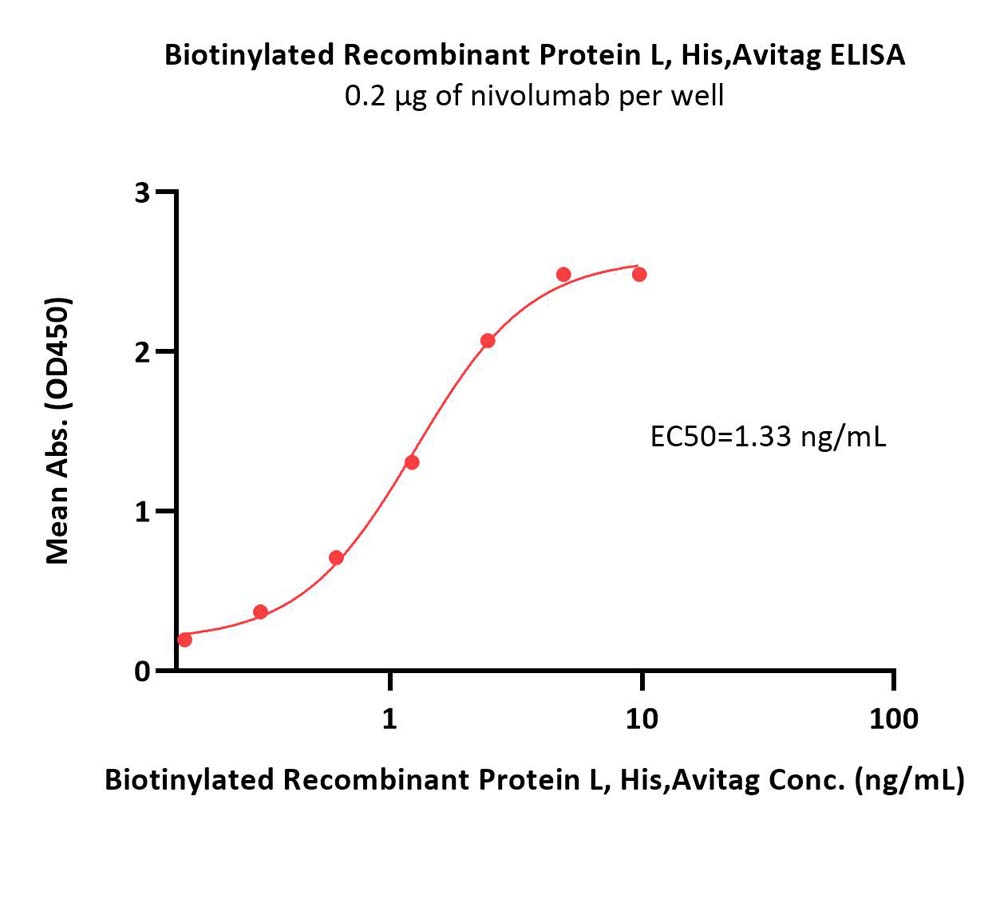  Protein L ELISA